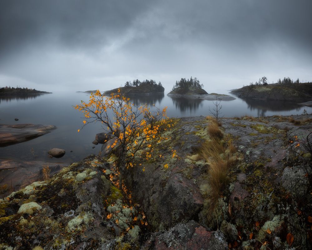 Photograph by Алексей Марголин