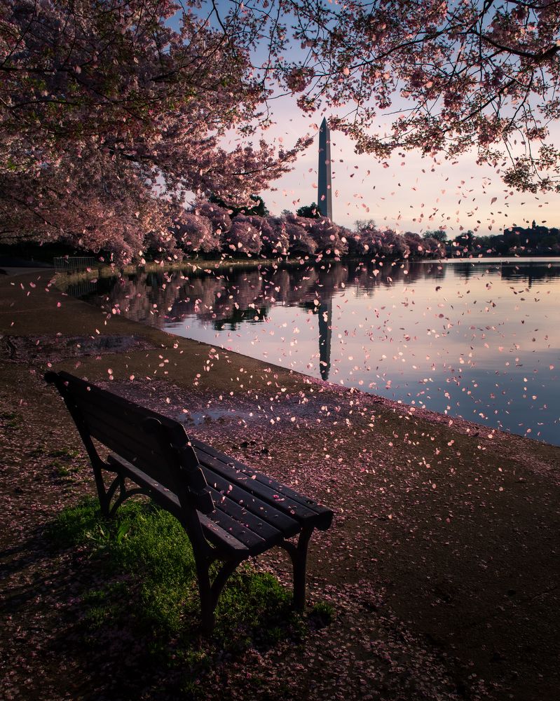 Фотография автора Robert Welsted