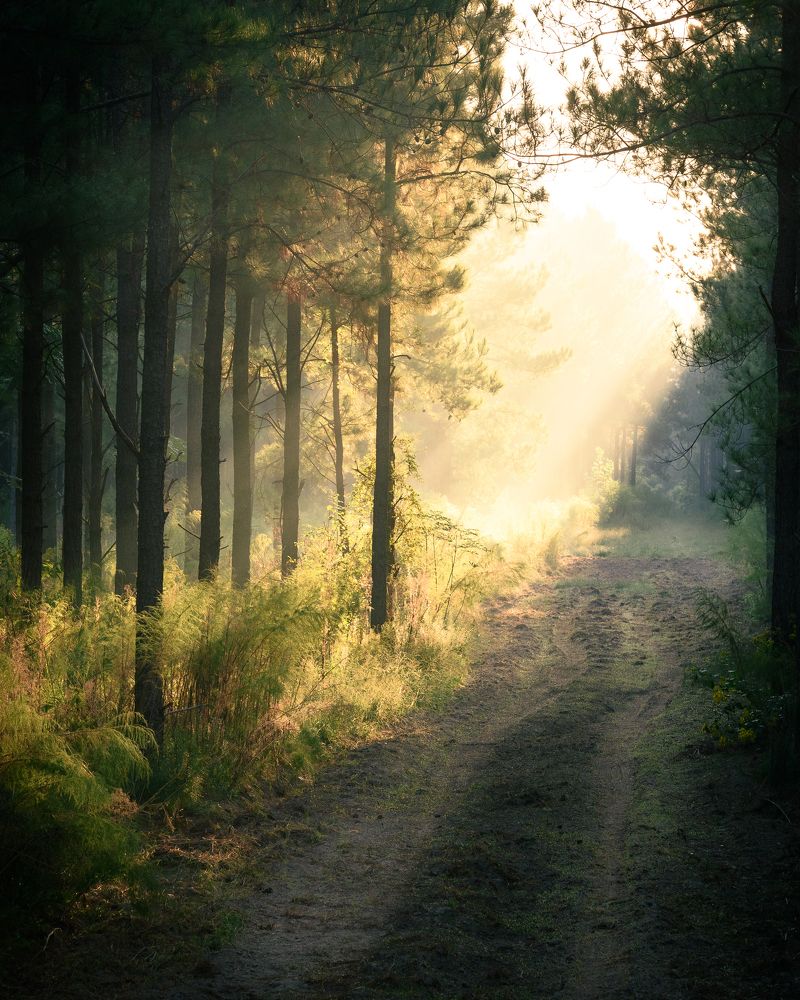 Фотография автора Robert Welsted