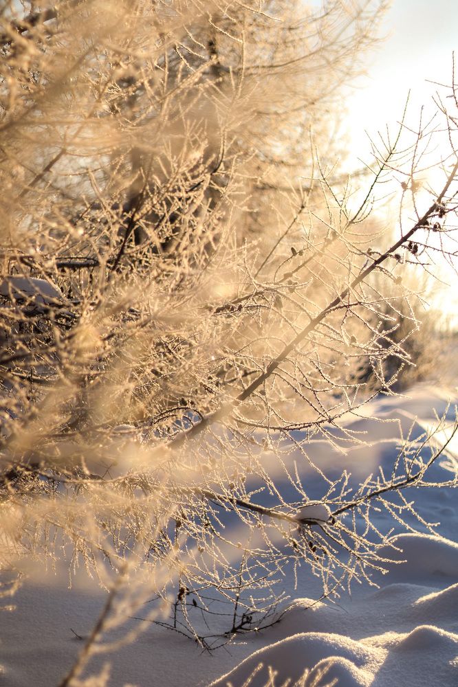 Photograph by Maria Kurakhtanova