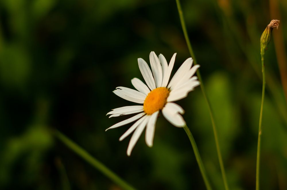 Photograph by Ольга