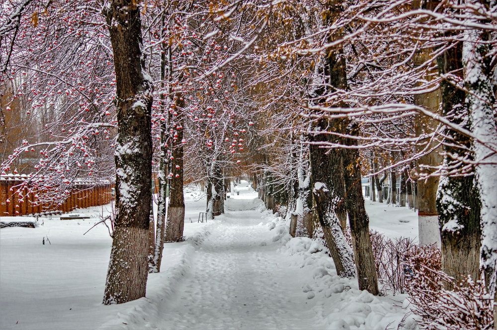 Photograph by Алексей Сиваков