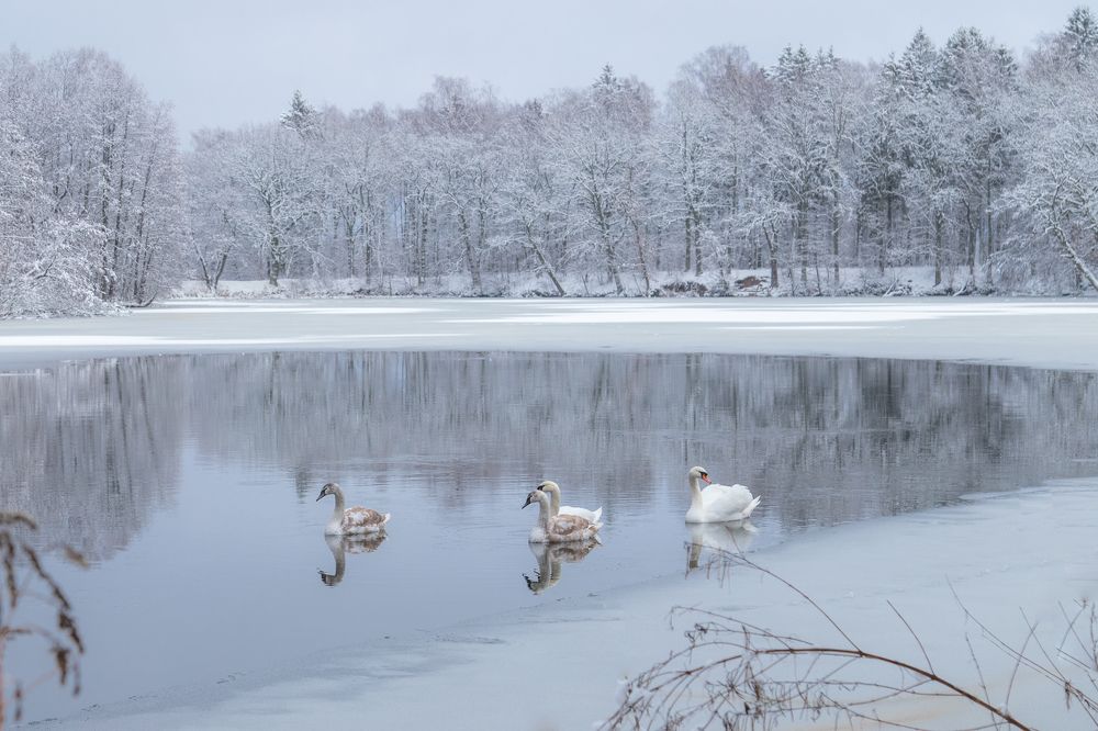 Photograph by Наталья Брюхненко