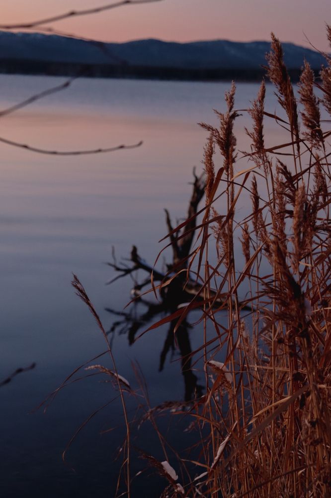 Photograph by Оксана Двойникова