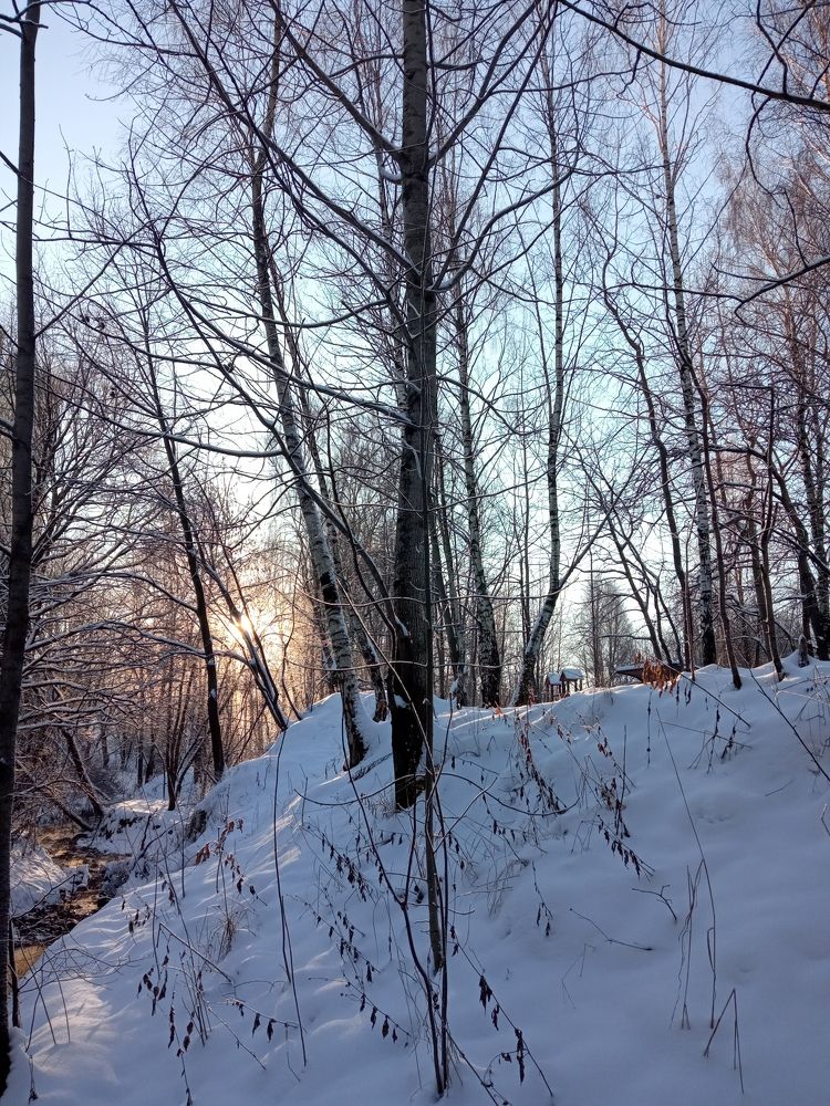Photograph by Михаил Шохин