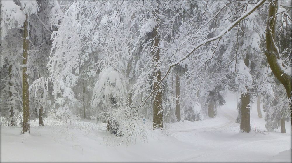 Photograph by Emil Zivanov