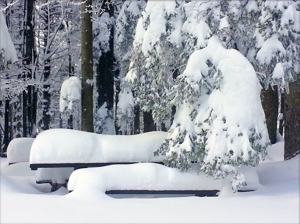 Photograph by Emil Zivanov