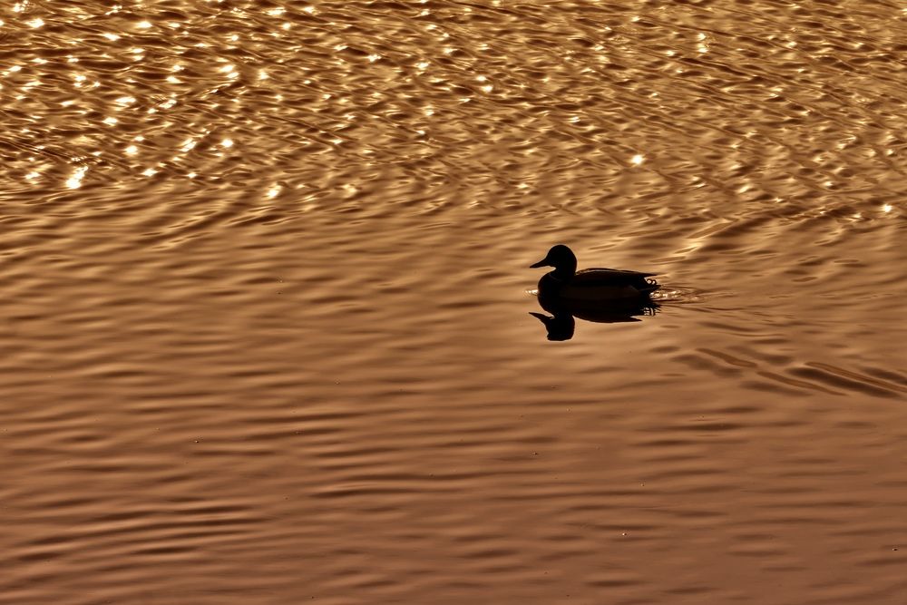 Photograph by Yuliya Khramova