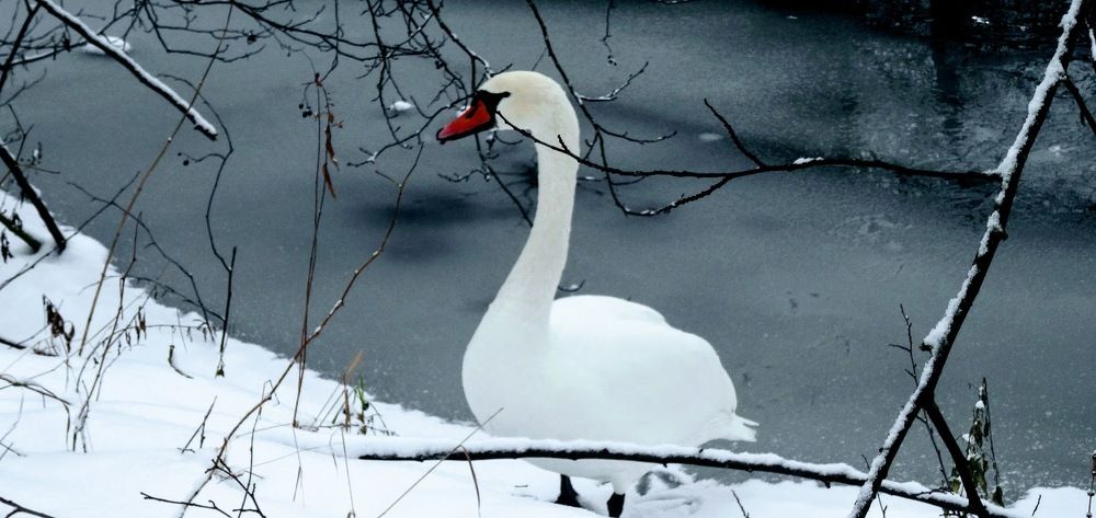 Photograph by Людмила Муравьева