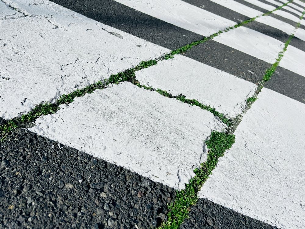 Photograph by Sergiy Khilko