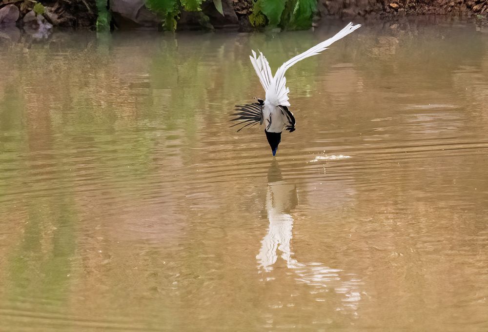 Photograph by Nitin Baste