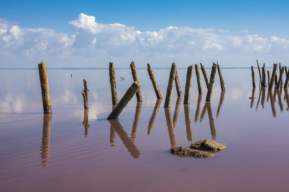 Деревянные истуканы