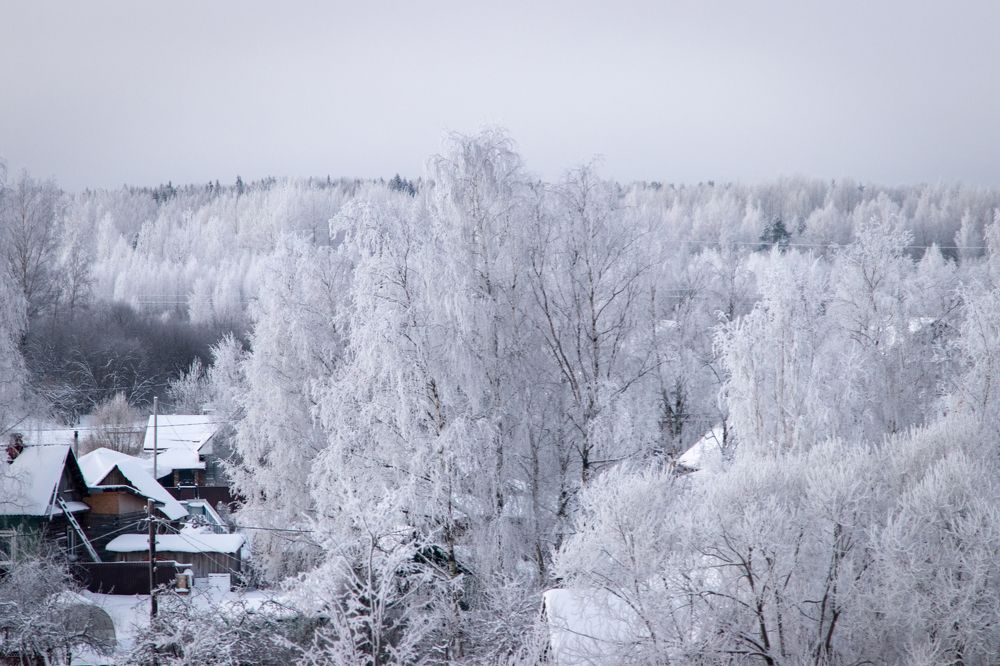 Photograph by Мария Барановская