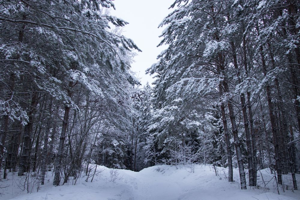 Photograph by Мария Барановская