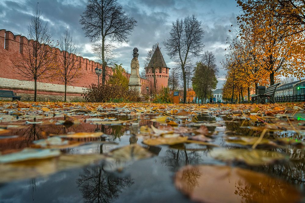 Фотография автора Анатолий Зверев