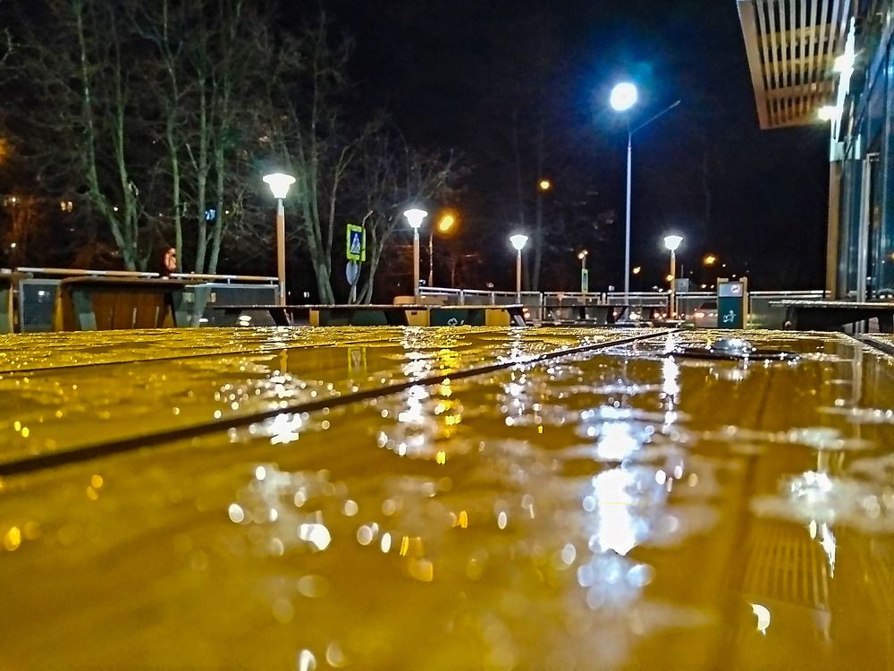 Фотография автора Елена Савельева