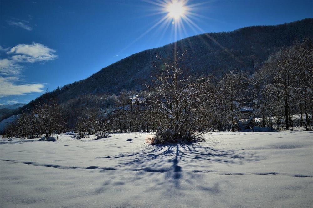 Photograph by Ольга