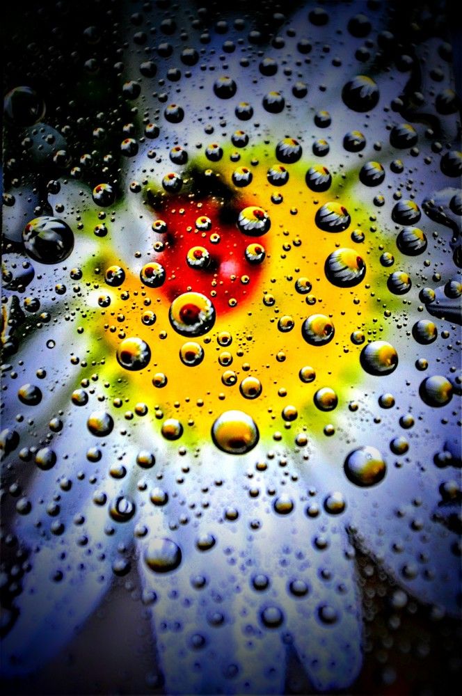 Photograph by Ольга