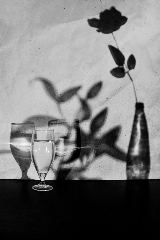 Photograph by Данил Макаренко