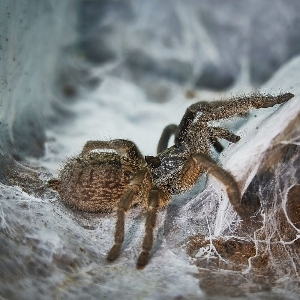 Photograph by Yuliya Khramova