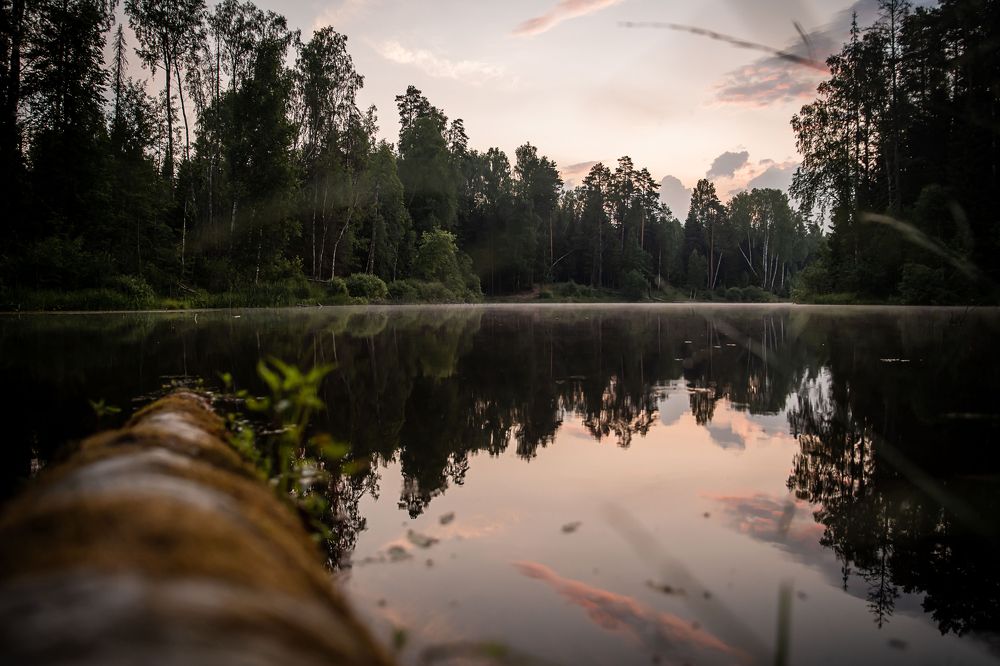 Photograph by Екатерина Часова