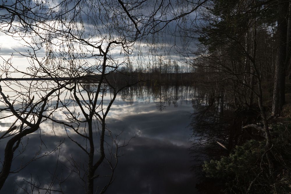 Photograph by Nataliya Starikova