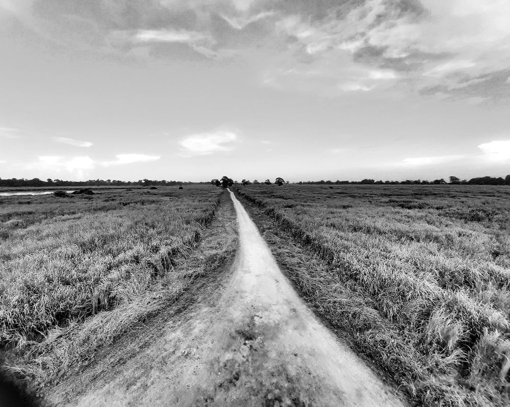 Photograph by Susmita Paul