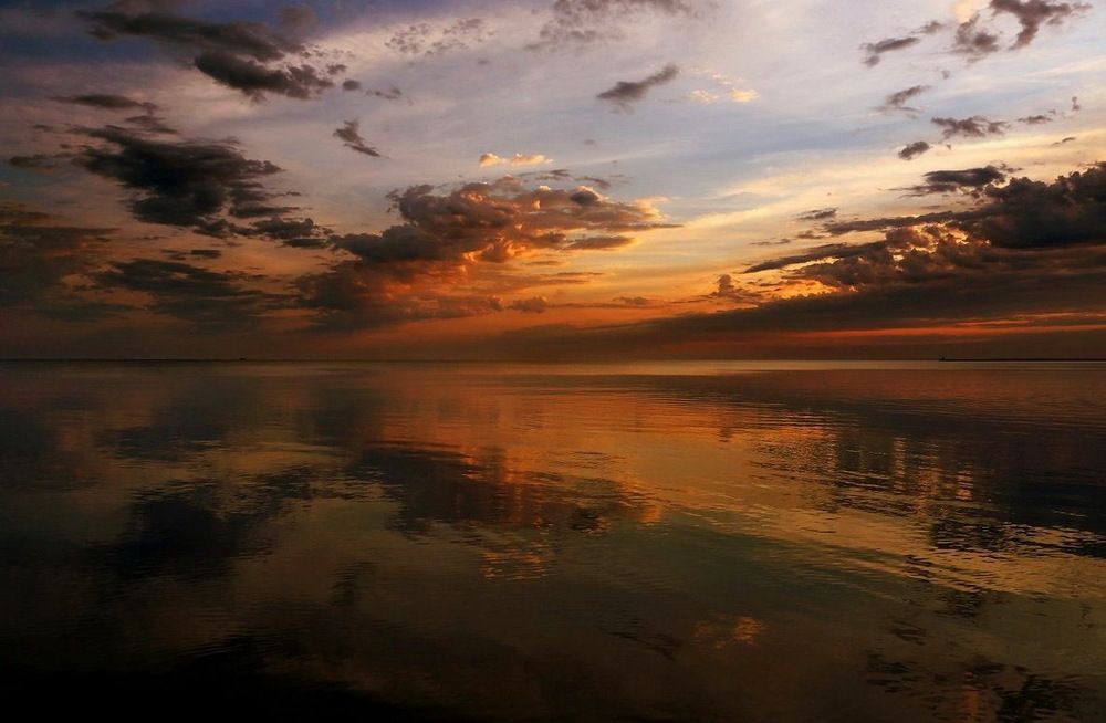 Фотография автора Нилла Шарафан