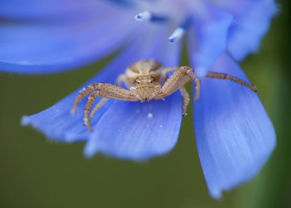 Photograph by Павел Колеснев