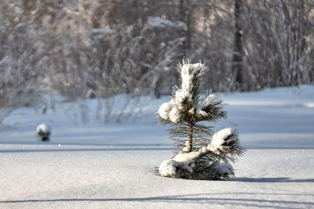 Photograph by Yuliya Khramova