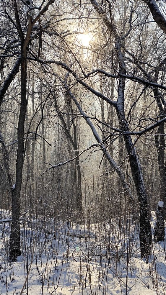 Photograph by Yuliya Khramova