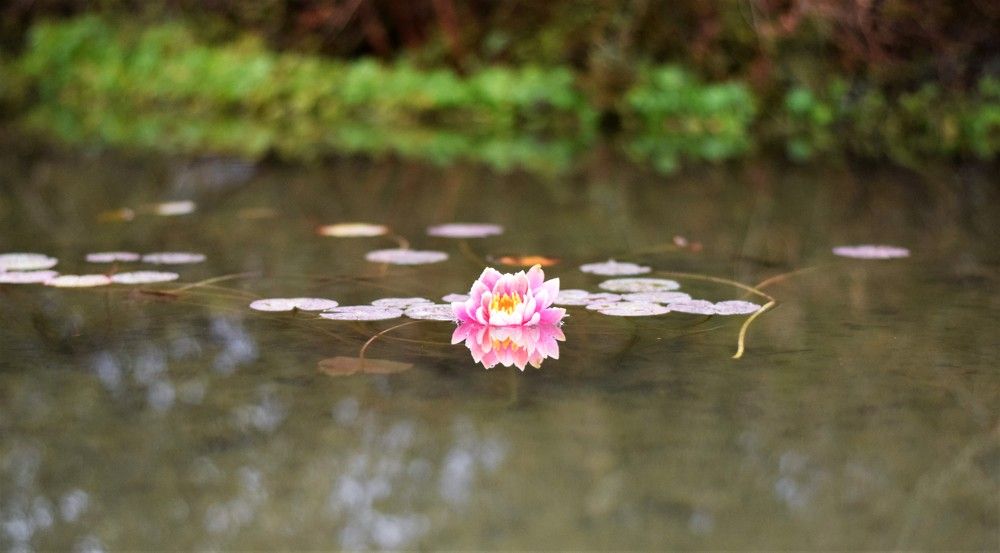 Photograph by Marina Eremin