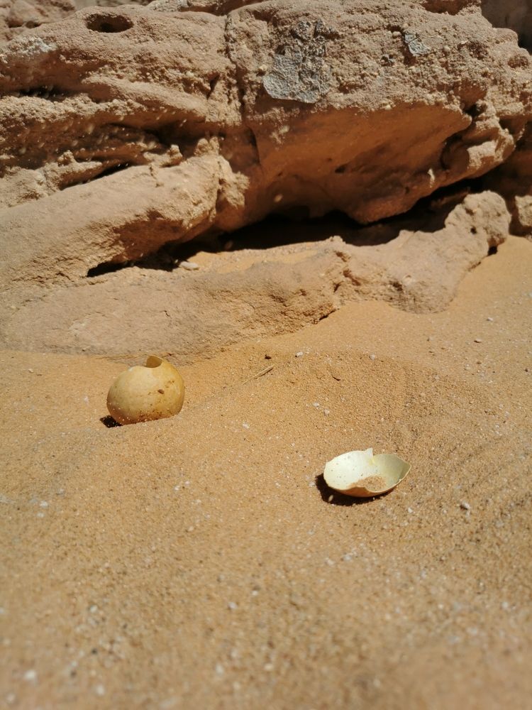 Photograph by Светлана