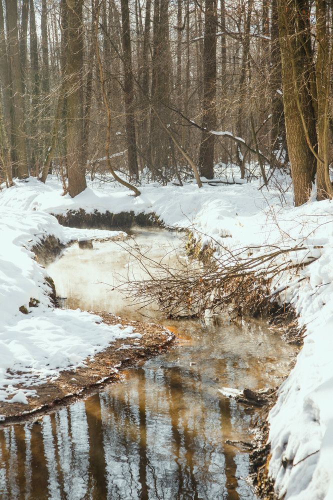 Photograph by Marie Dashkova