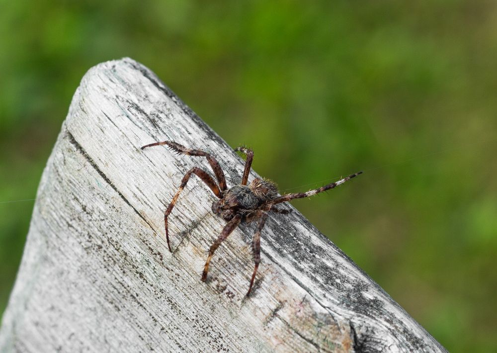 Photograph by Петрова Екатерина