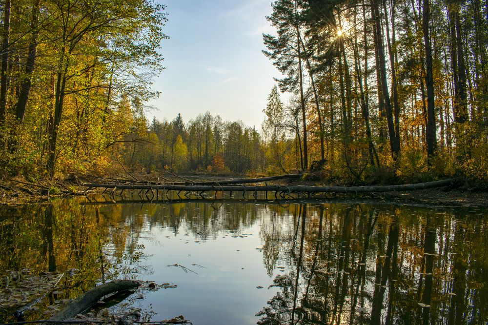 Photograph by Ruslan Maiborodin