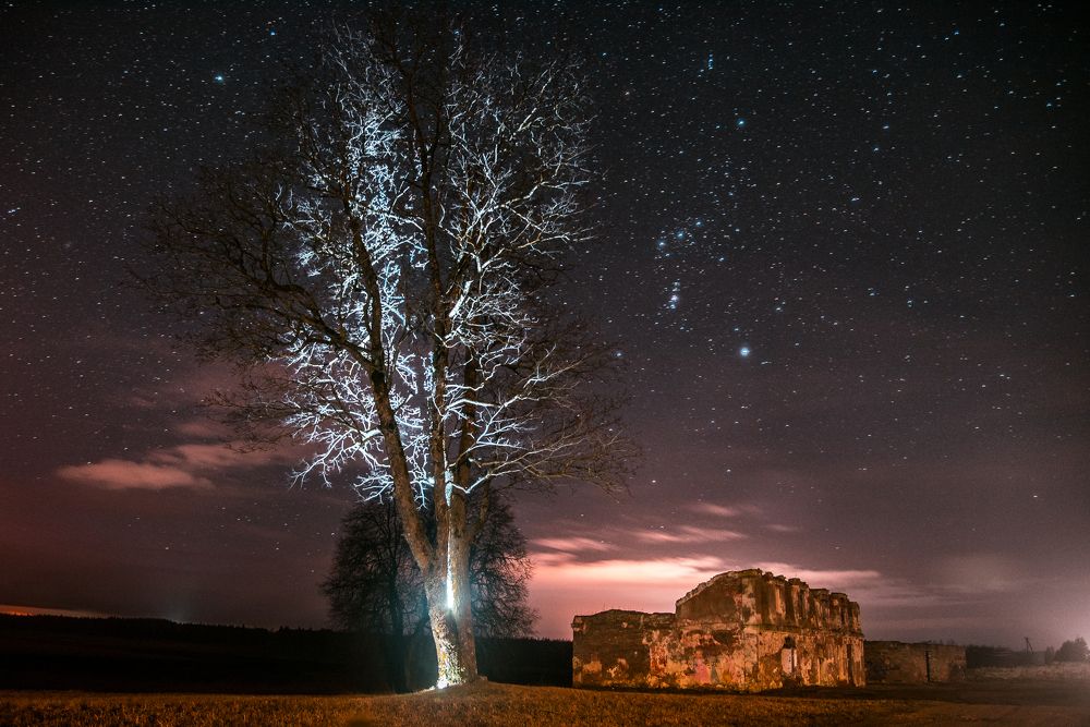 Photograph by Alla Matrosova