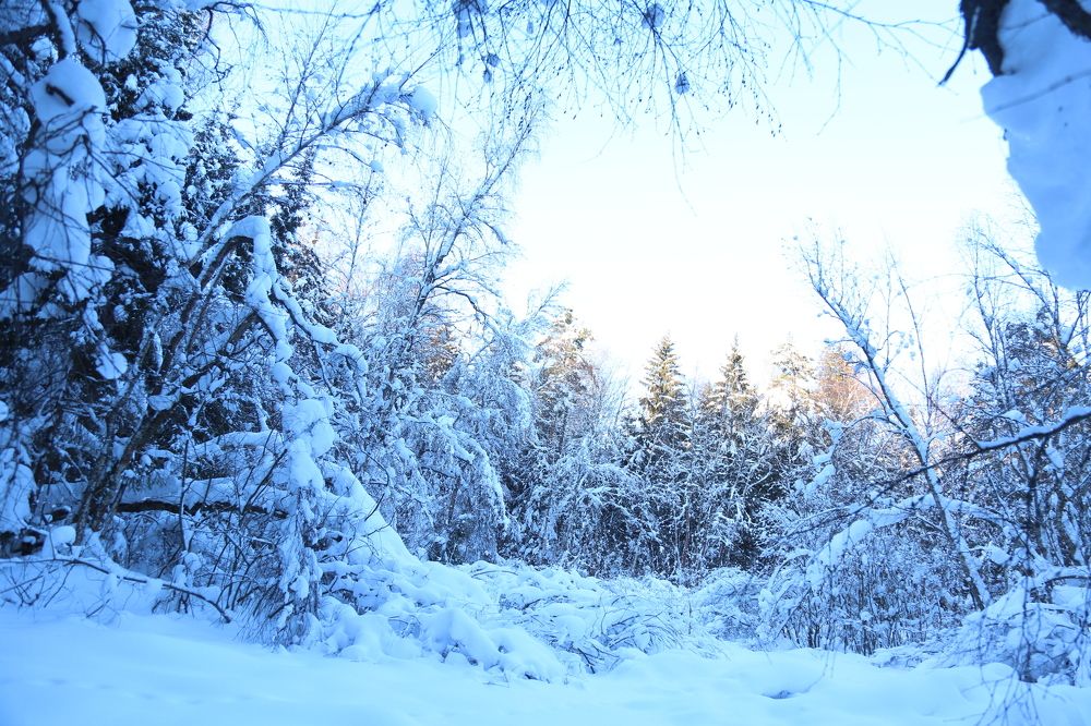 Photograph by Marie Dashkova