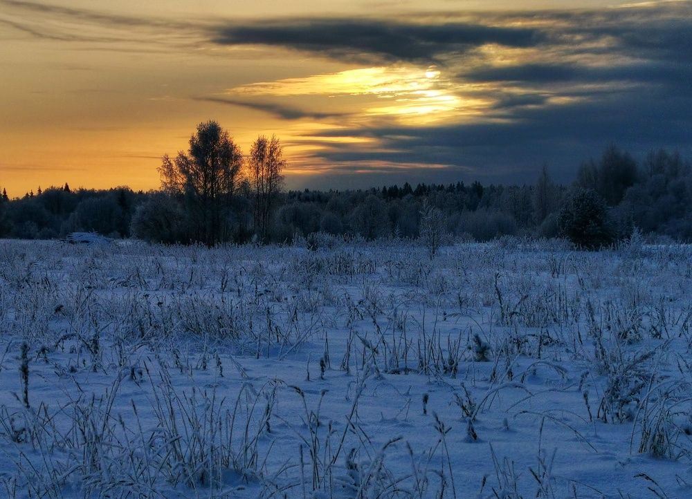 Photograph by 