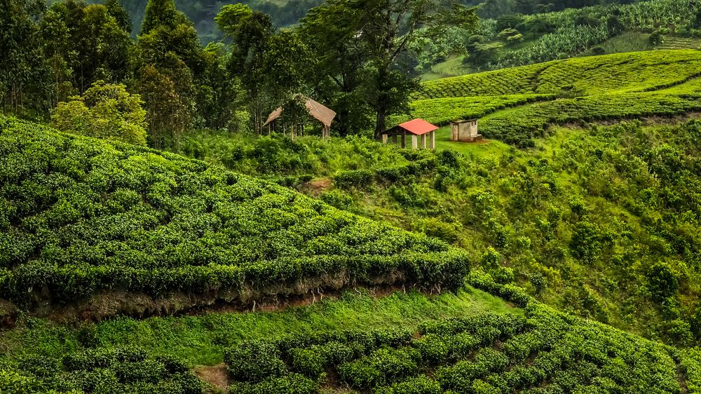 Photograph by Soumen Ghosh