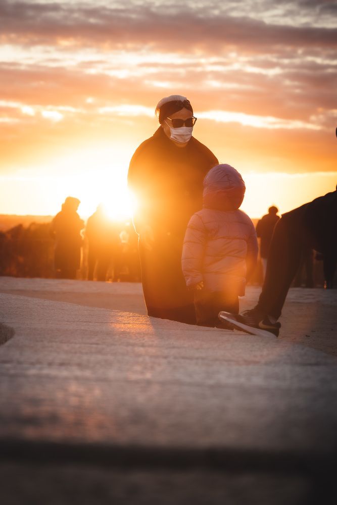 Photograph by Murcia J. A.