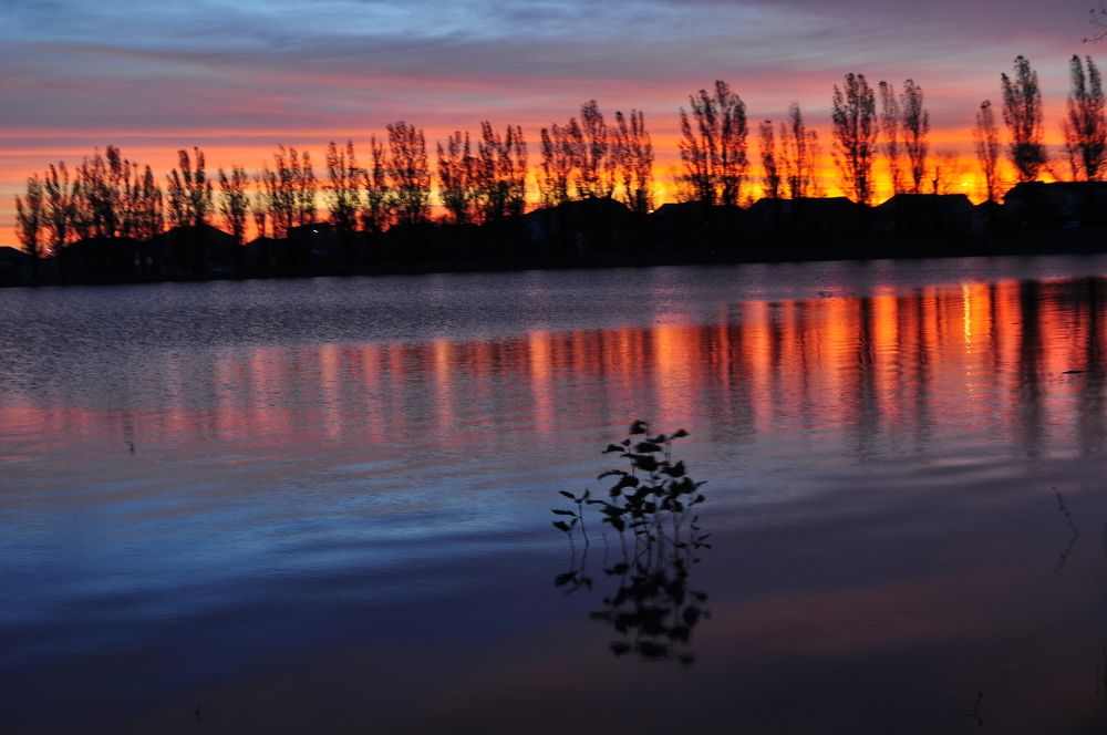 Photograph by Заурбек Шахмурзаев