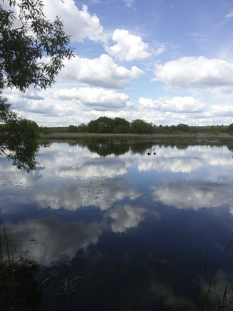 Photograph by Алена Полетаева