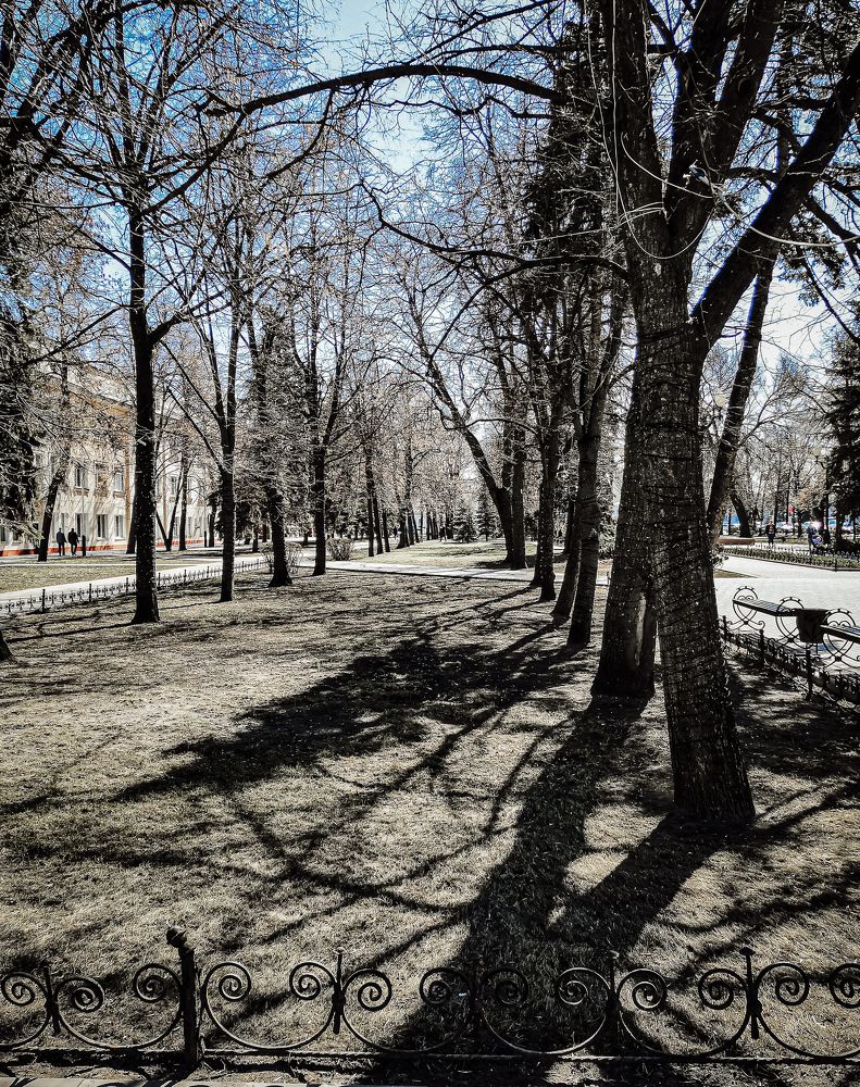 Photograph by Алена Полетаева