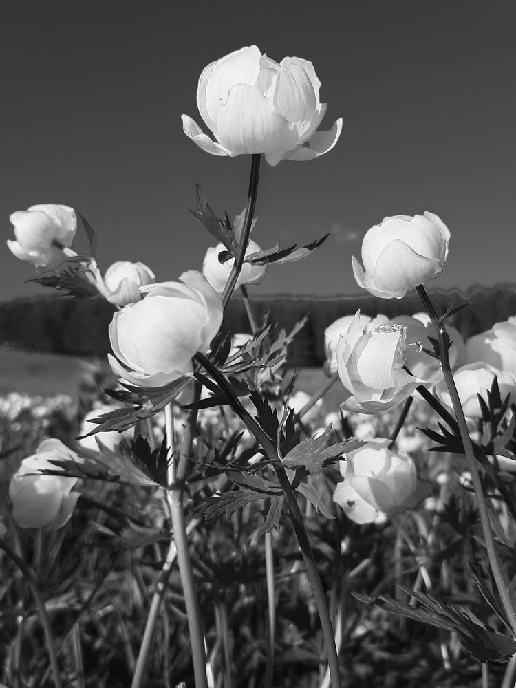 Photograph by Марина Слепова