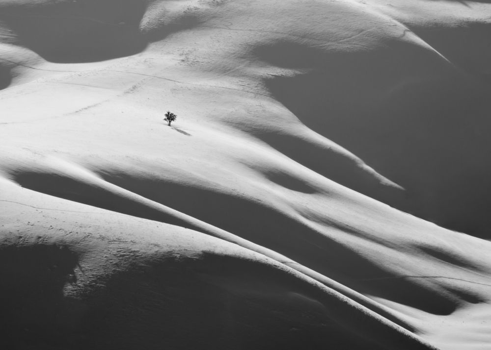 Photograph by Alipour mohammad