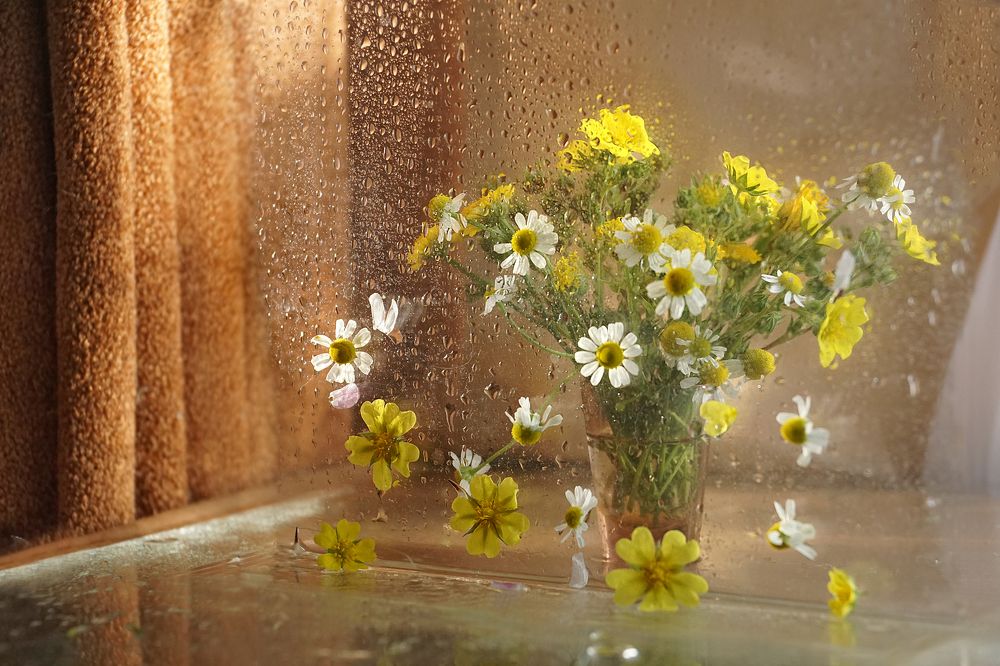 Photograph by Ольга Пуховникова