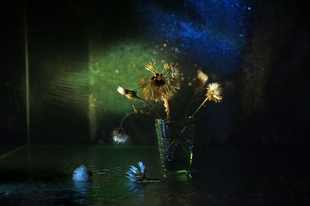 Photograph by Ольга Пуховникова