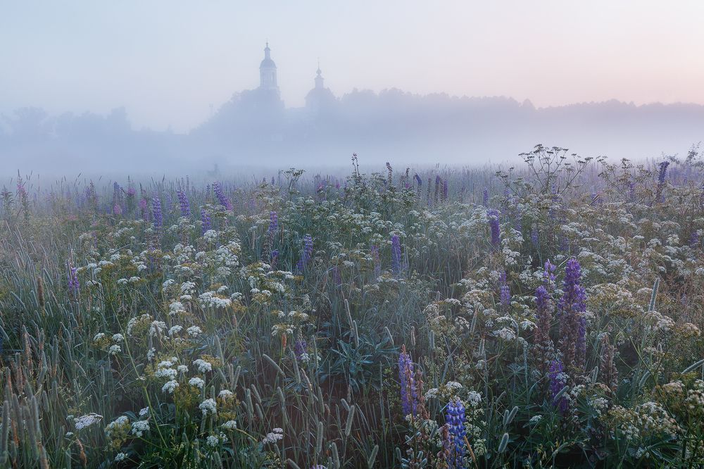 Photograph by Марина Сорокина