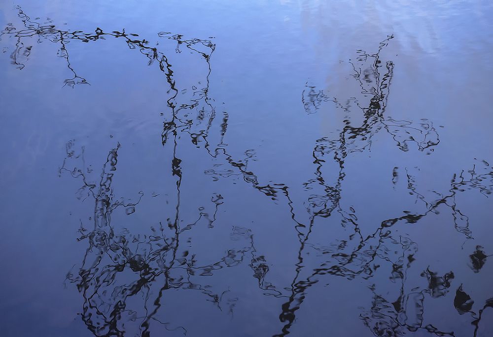 Photograph by Елена Маковецкая